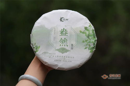 一球茶業(yè) 你陪我長(zhǎng)大,我陪你喝茶