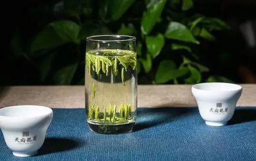 天府龍芽 攜四川主產(chǎn)茶區(qū) 三山一早 公共品牌登陸紐約時報(bào)廣場