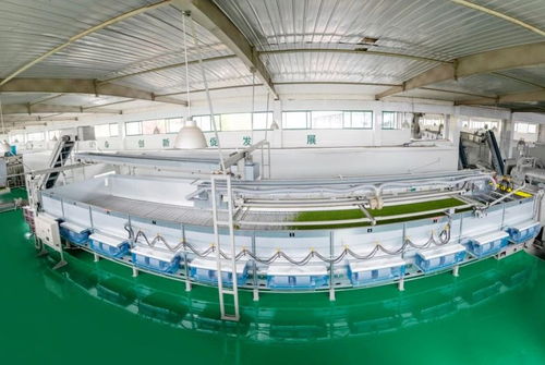 山南茶區(qū)，珍品輩出 宜昌茶產(chǎn)業(yè)介紹