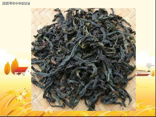 明清茶業 從生產興盛到文化精致