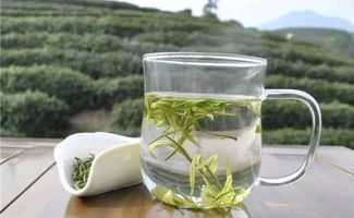 茶商巡禮之大霧山茶業(yè) 以茶為心，以誠(chéng)為葉